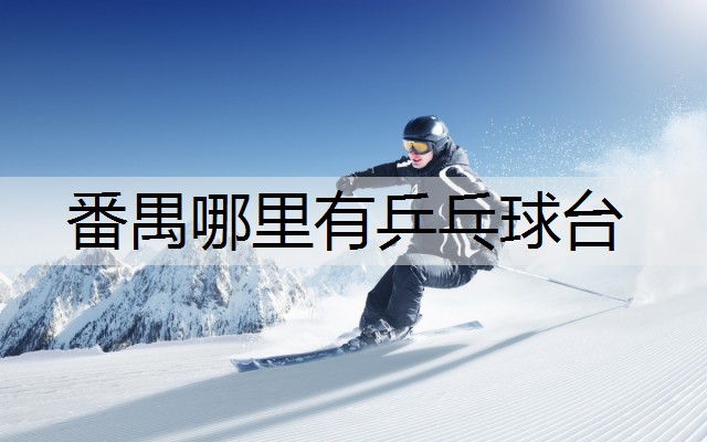 番禺哪里有乒乓球台