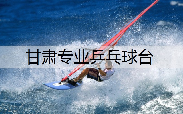 甘肃专业乒乓球台