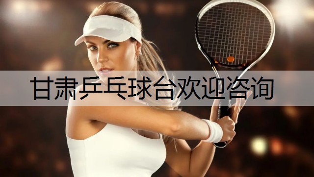 甘肃乒乓球台欢迎咨询