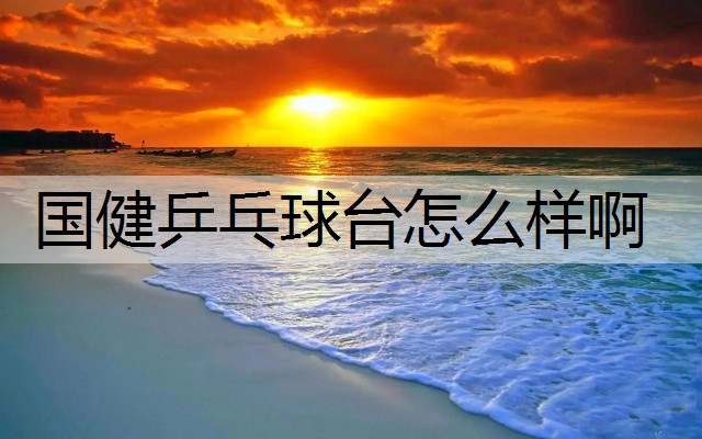 国健乒乓球台怎么样啊