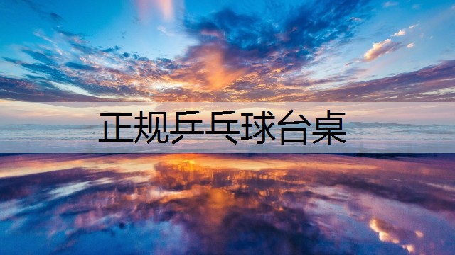 正规乒乓球台桌