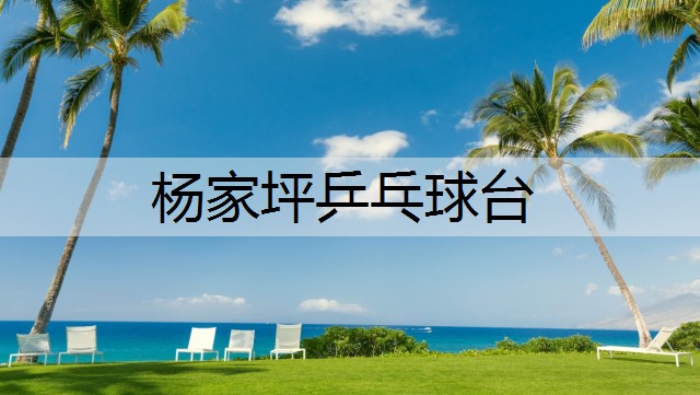 杨家坪乒乓球台