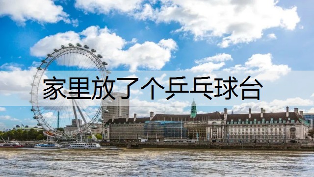 家里放了个乒乓球台