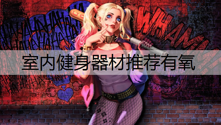 室内健身器材推荐有氧