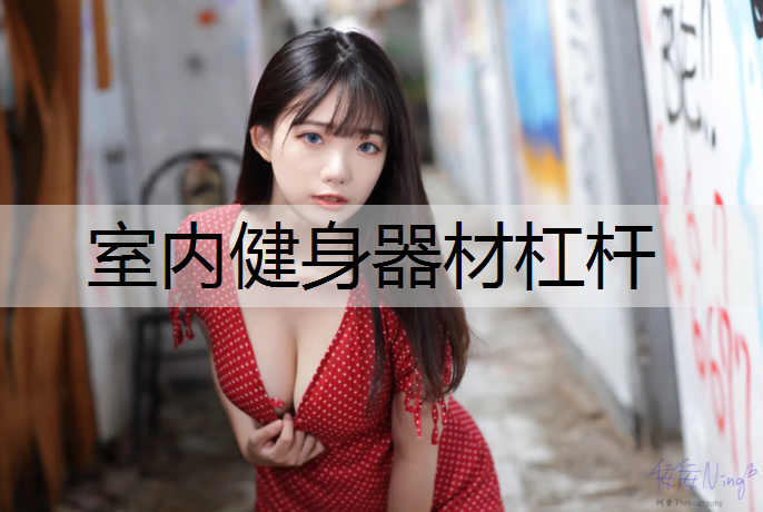 室内健身器材杠杆