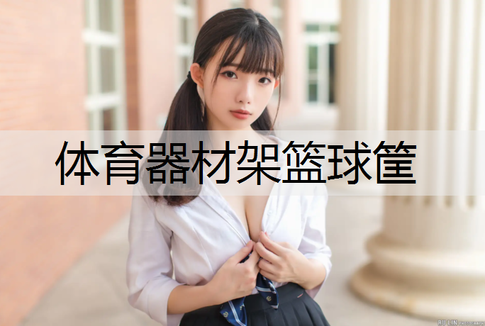 体育器材架篮球筐