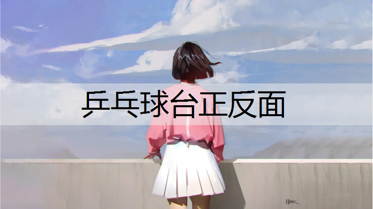 乒乓球台正反面