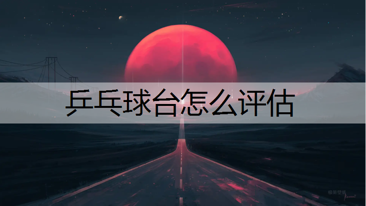 乒乓球台怎么评估