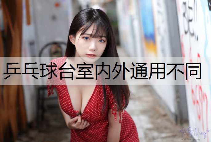 乒乓球台室内外通用不同