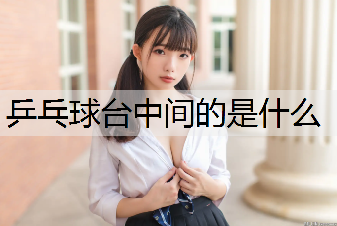 乒乓球台中间的是什么