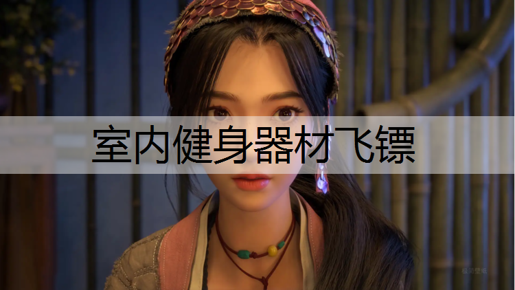 室内健身器材飞镖