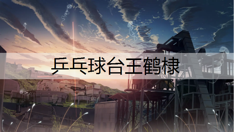 乒乓球台王鹤棣