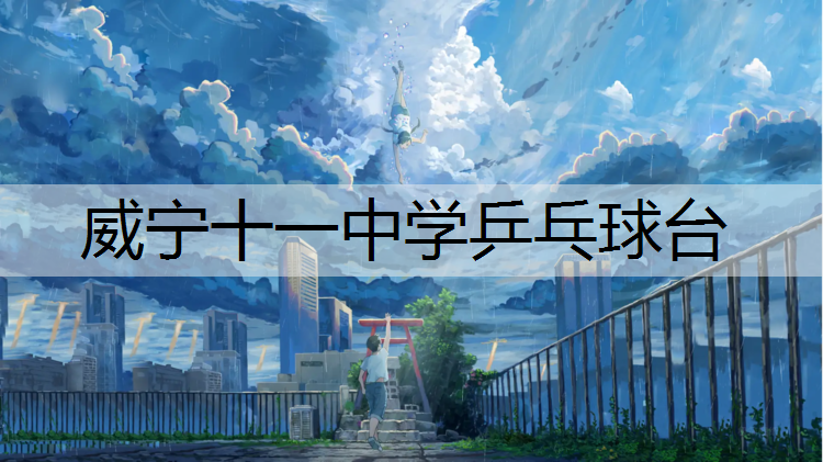 威宁十一中学乒乓球台