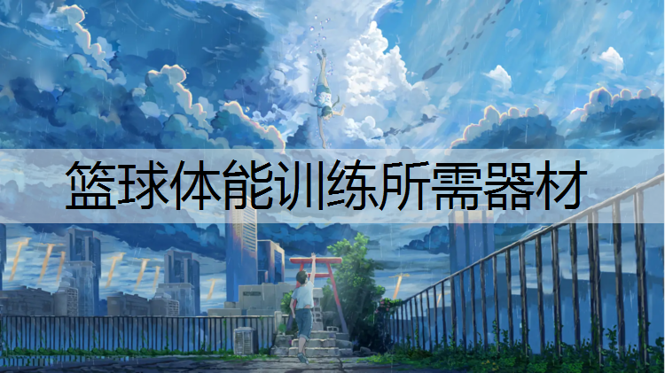 篮球体能训练所需器材