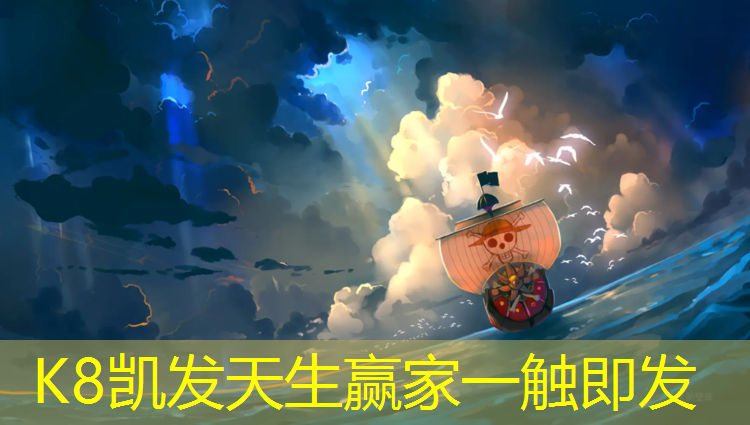 K8凯发：巢湖球场塑胶跑道价格表