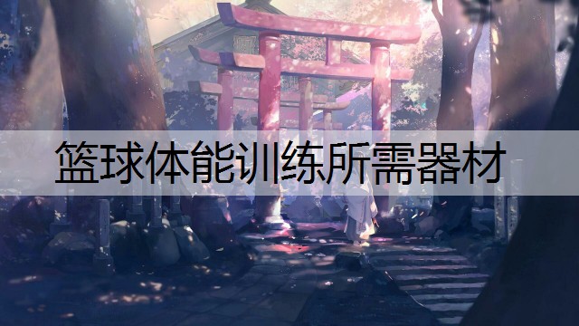 篮球体能训练所需器材