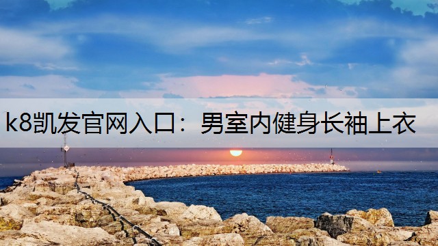 男室内健身长袖上衣