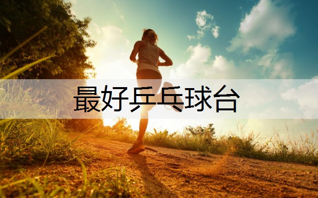 最好乒乓球台