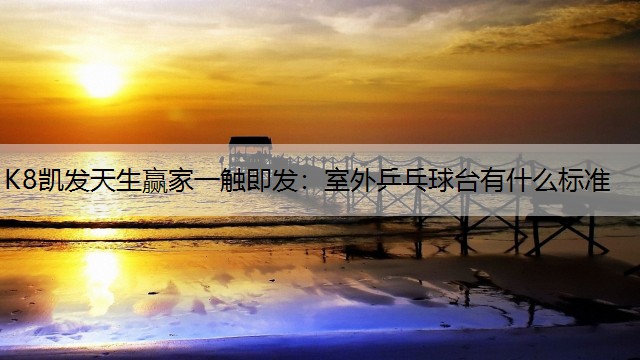 室外乒乓球台有什么标准