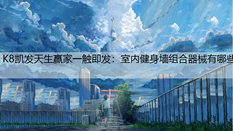 室内健身墙组合器械有哪些