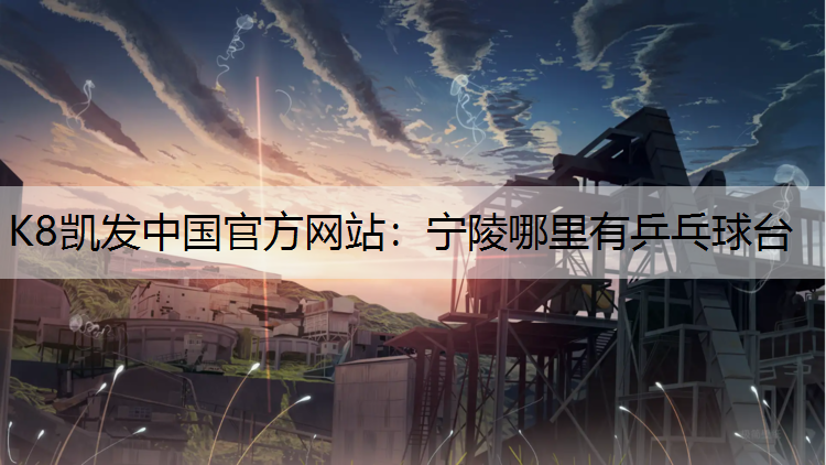 宁陵哪里有乒乓球台