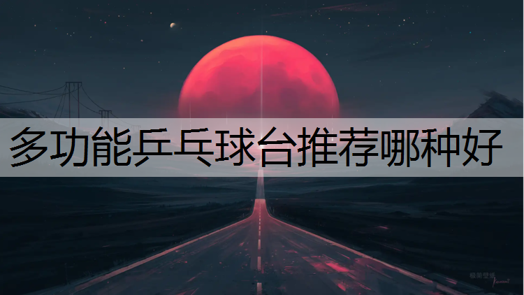 多功能乒乓球台推荐哪种好