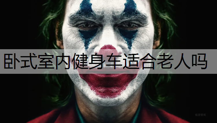 卧式室内健身车适合老人吗