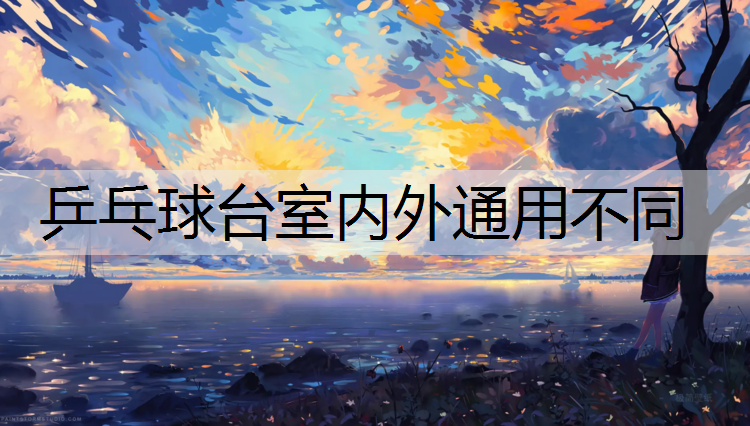 乒乓球台室内外通用不同