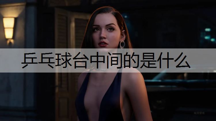 乒乓球台中间的是什么