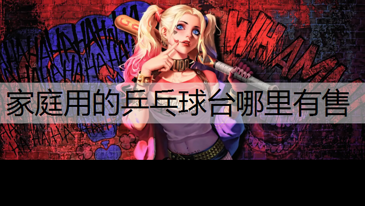 家庭用的乒乓球台哪里有售