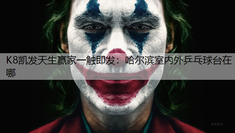 哈尔滨室内外乒乓球台在哪